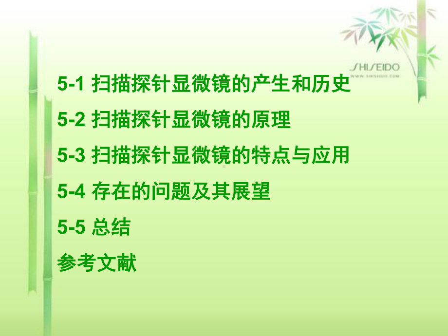 扫描探针显微技术集合课件.ppt_第1页