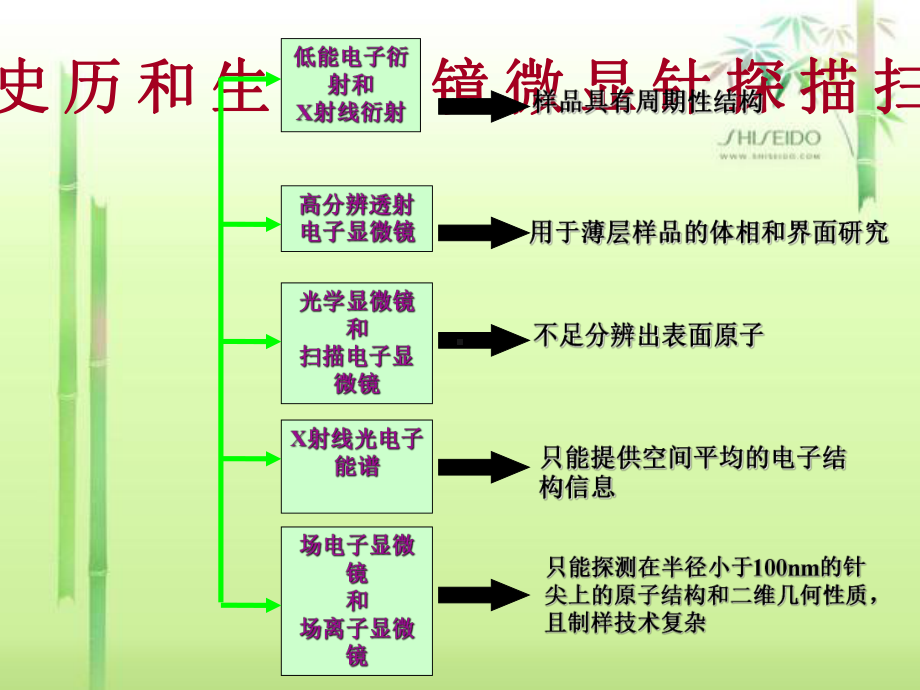 扫描探针显微技术集合课件.ppt_第3页