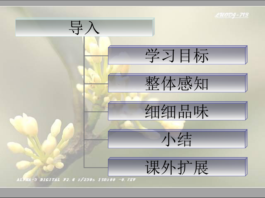 鹧鸪天桂花ppt课件(22张).ppt_第2页