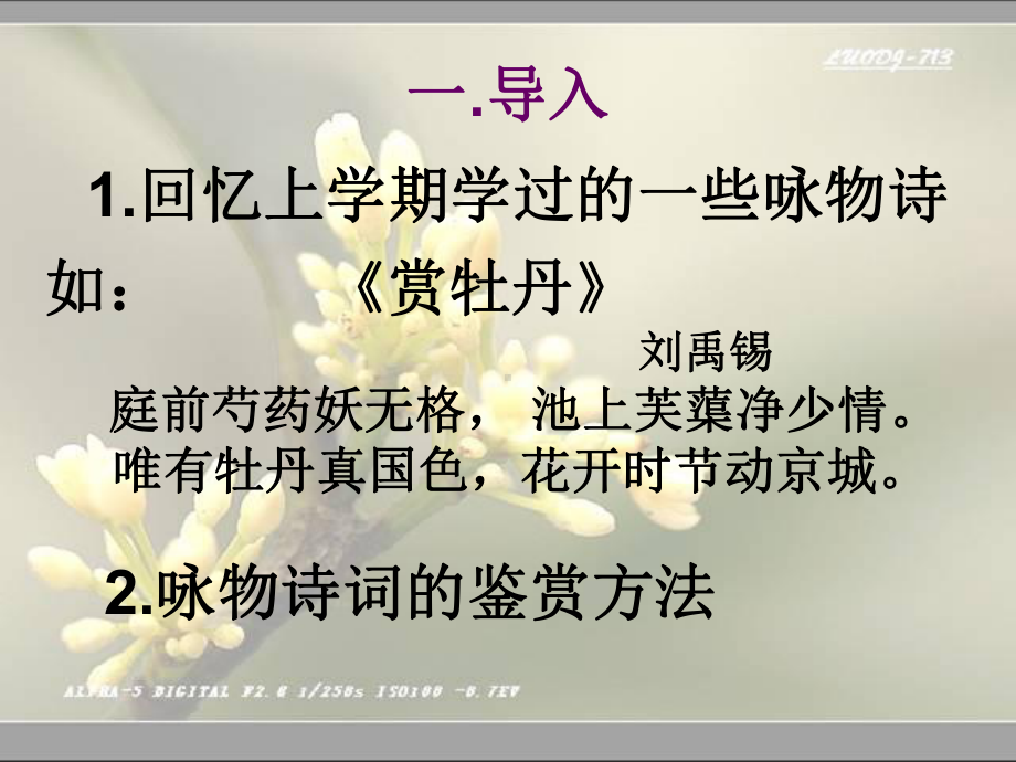 鹧鸪天桂花ppt课件(22张).ppt_第3页