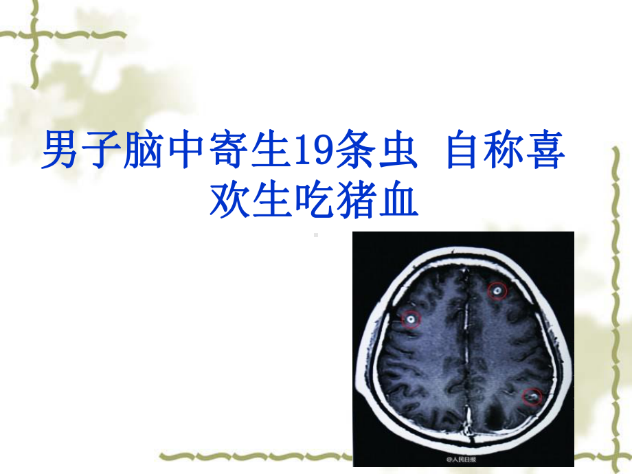 食品原料的分类和品质鉴定课件.ppt_第3页