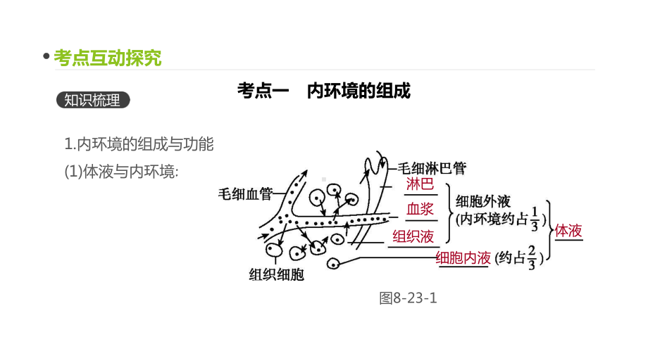 高三生物一轮复习课件：第23讲-人体的内环境与稳态-.pptx_第3页