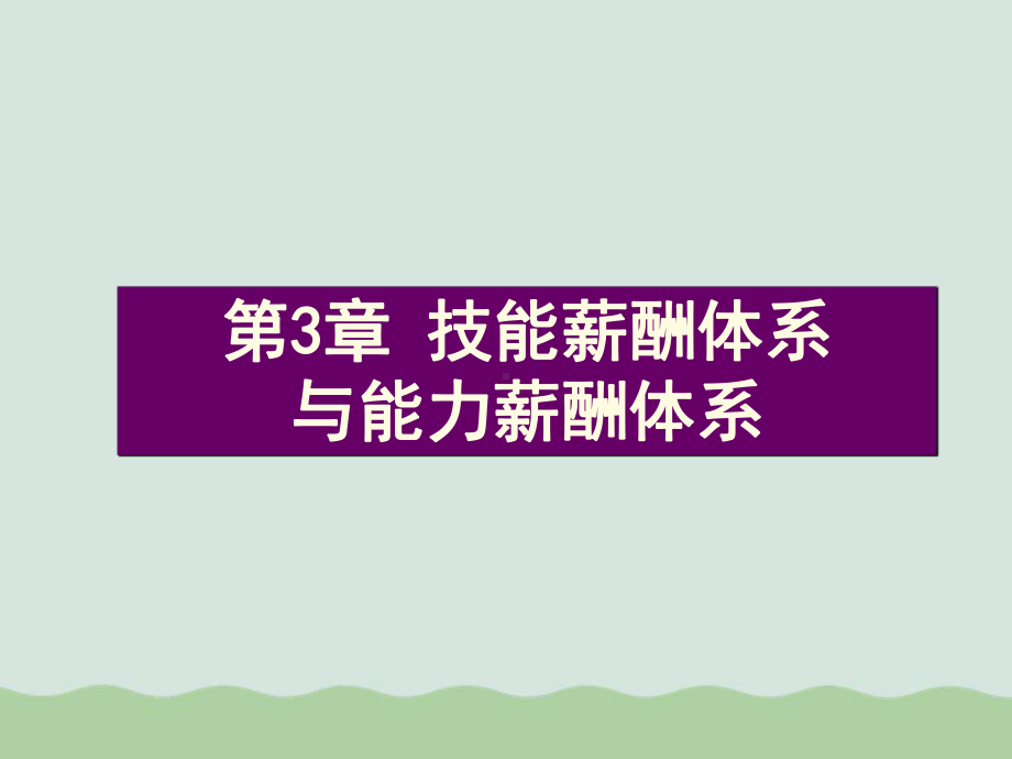 技能薪酬体系与能力薪酬体系(ppt-44页)课件.ppt_第1页