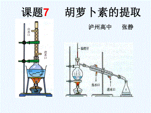 高中生物-胡萝卜素的提取课件.ppt