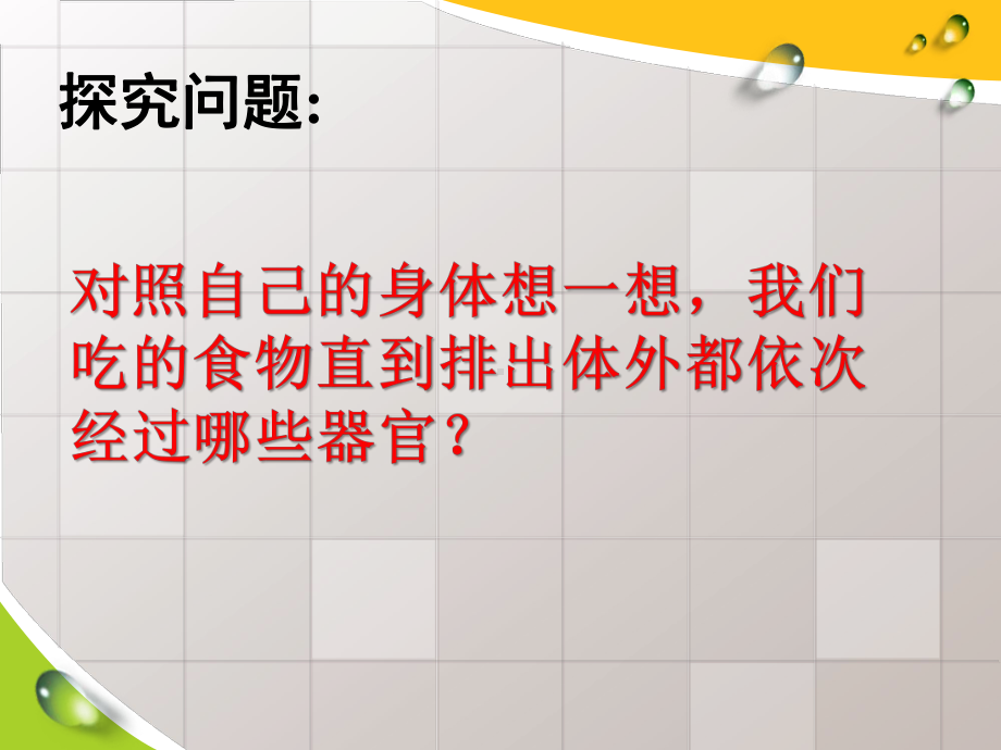 食物在人体内的旅行-人体的奥秘PPT精品教学课件.pptx_第3页