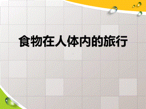 食物在人体内的旅行-人体的奥秘PPT精品教学课件.pptx