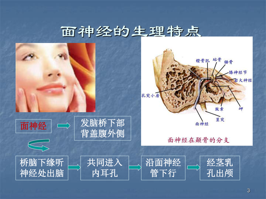 面神经炎中医治疗ppt课件.ppt_第3页