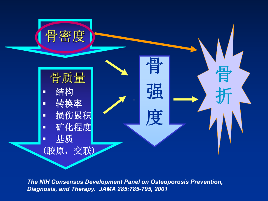 骨质疏松PPT课件.ppt_第3页