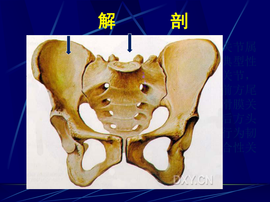 骶髂关节病变CT诊断课件.ppt_第3页