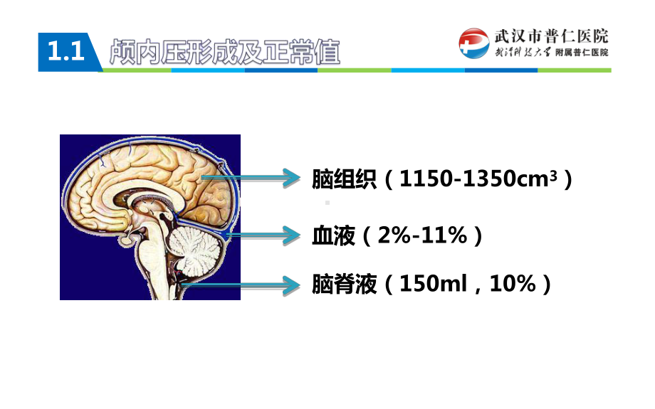 颅内压增高和脑疝23469课件.ppt_第3页