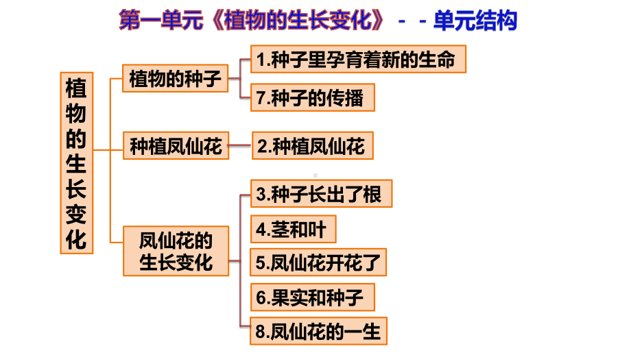 2022新教科版四年级下册科学第1单元复习知识结构 ppt课件.pptx_第1页