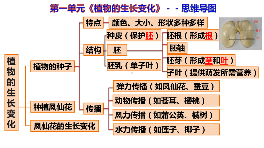 2022新教科版四年级下册科学第1单元复习知识结构ppt课件pptx