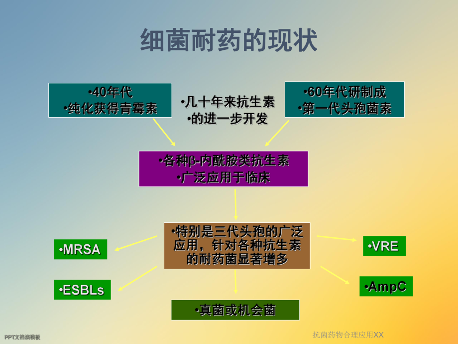 抗菌药物合理应用XX课件.ppt（89页）_第2页