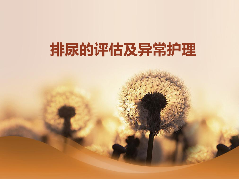 排尿的评估及异常护理课件.ppt（27页）_第1页