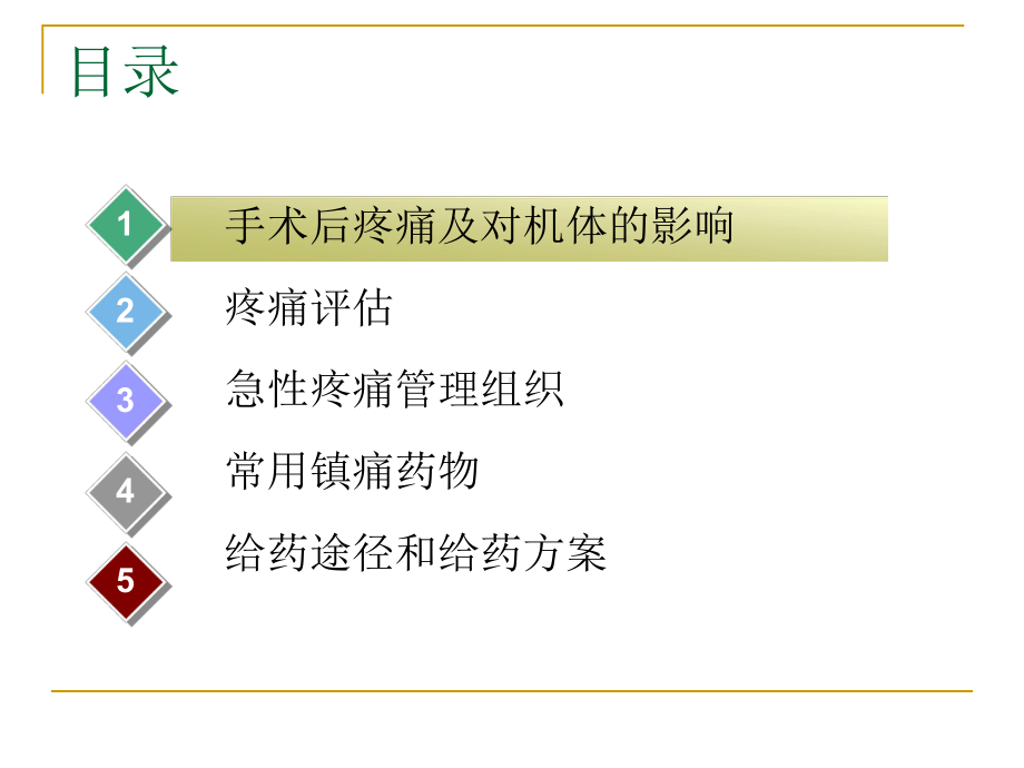 术后疼痛处理课件.ppt_第2页