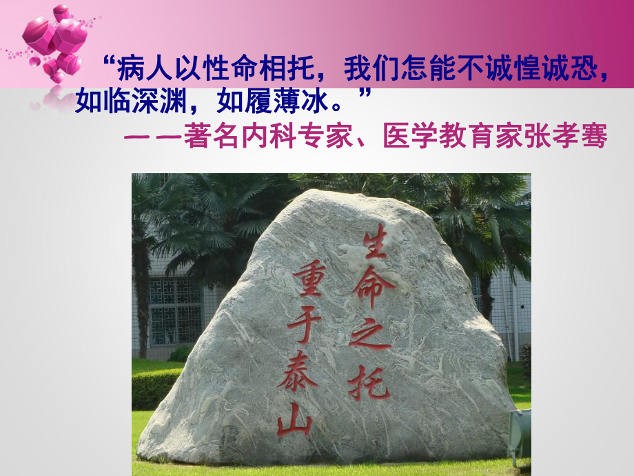 护理安全警示教育案例课件.ppt（33页）_第2页