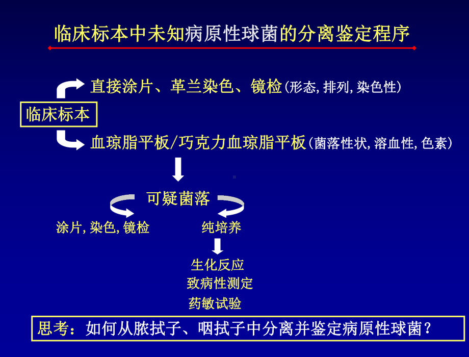 未知病原菌的分离鉴定课件.ppt_第3页