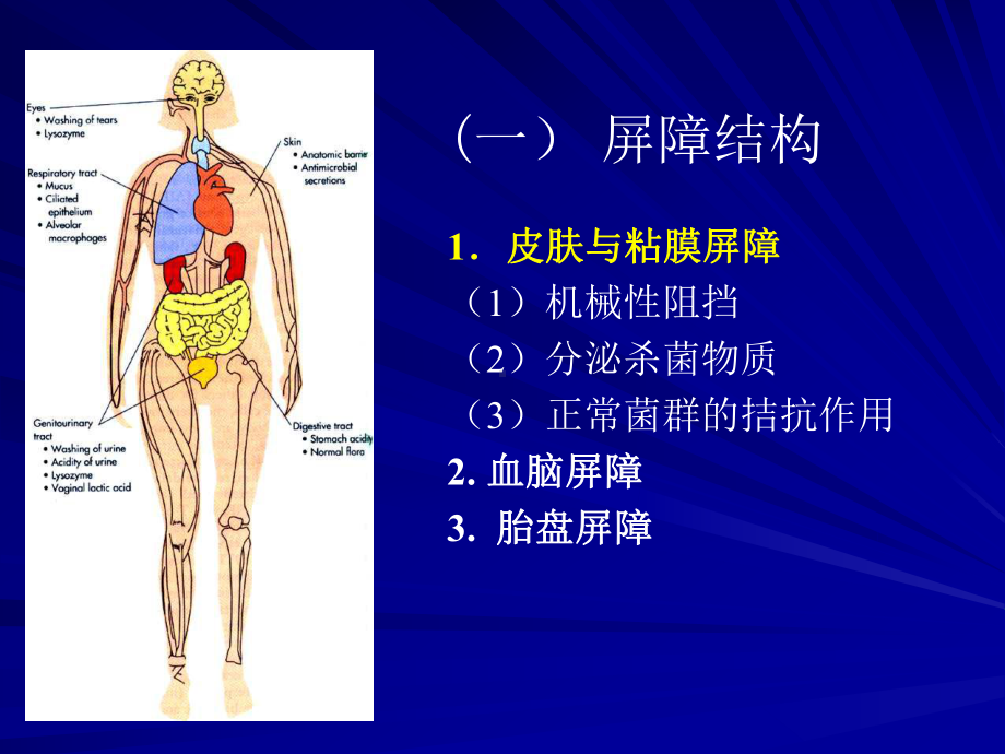 抗细菌和病毒免疫课件.ppt（24页）_第3页