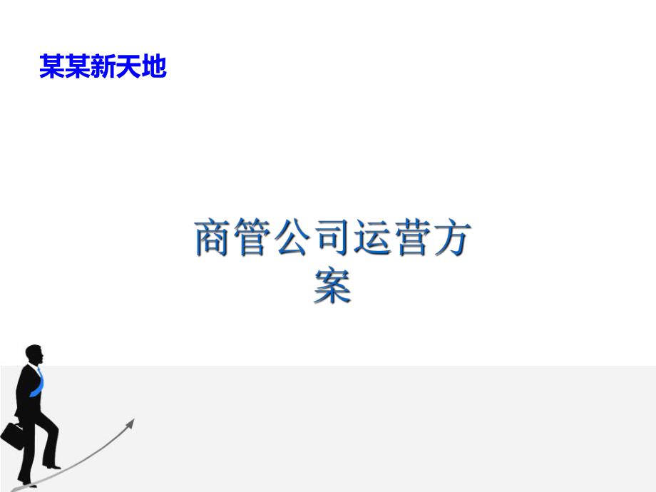 某商管公司运营方案课件.ppt_第1页