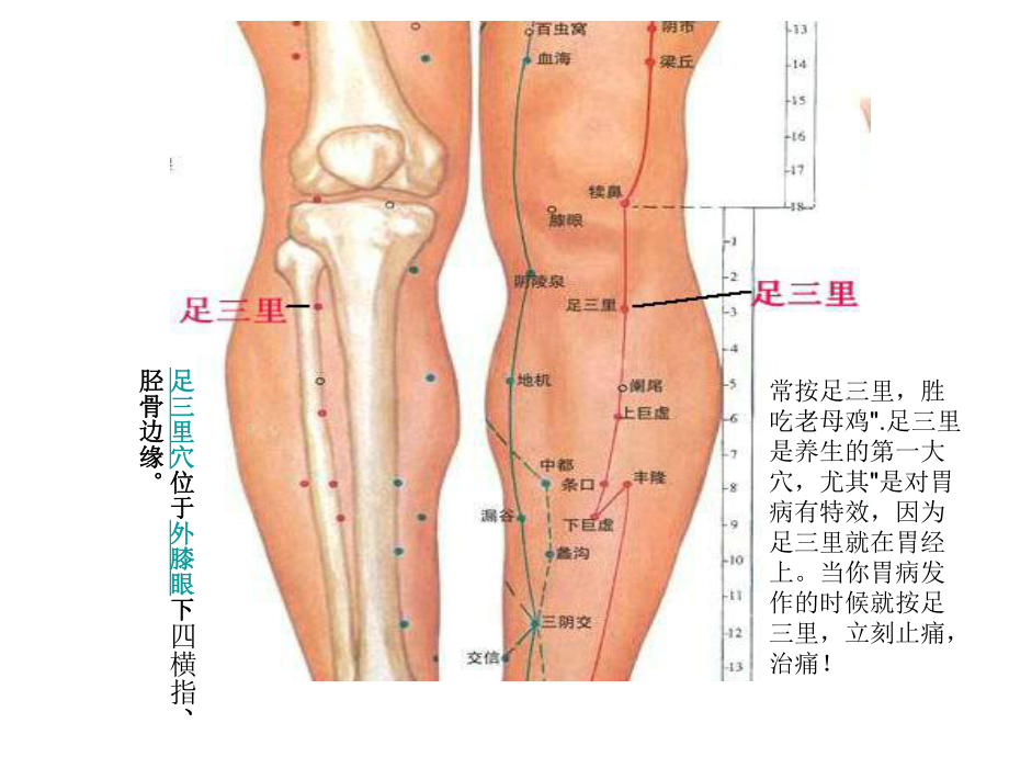 最新中医急救培训课件.ppt_第3页