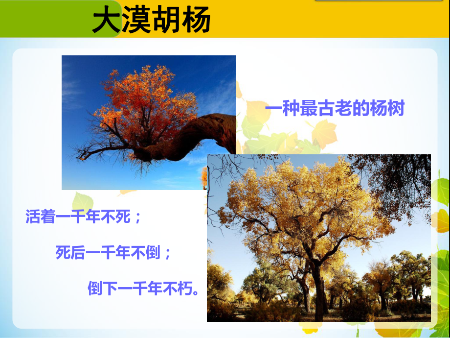 最可爱的兵团人.ppt课件.ppt_第2页