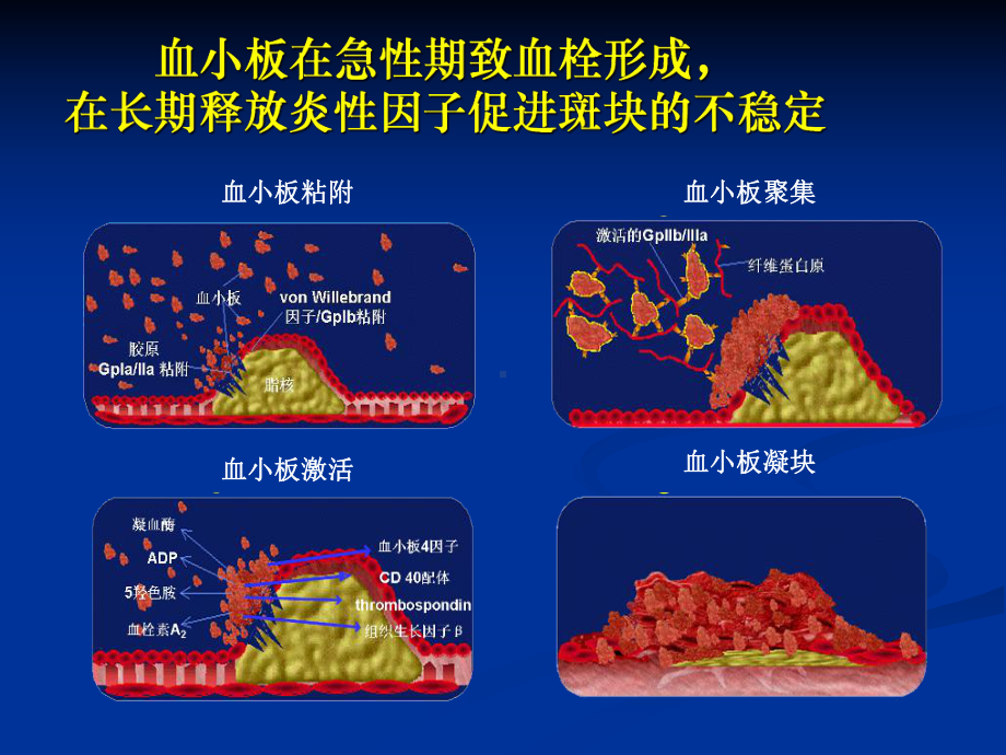 替罗非班专家版课件.ppt_第2页