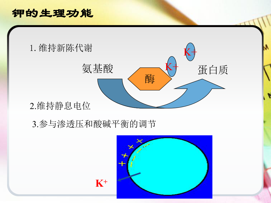 最新高钾血症护理查房课件.ppt_第3页