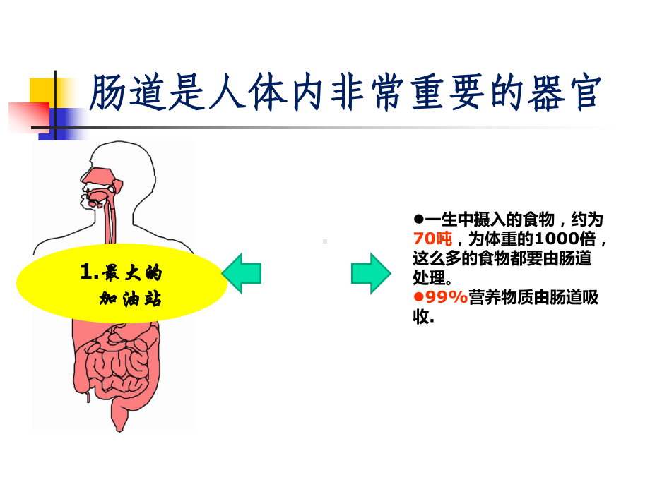 最新肠道健康课件.ppt_第2页