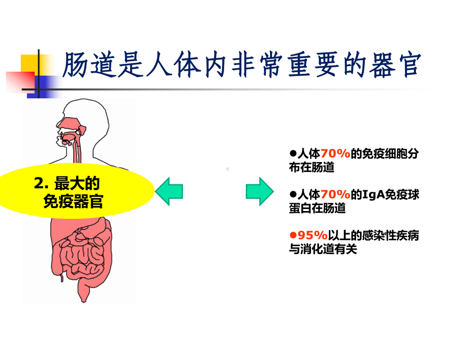 最新肠道健康课件.ppt_第3页