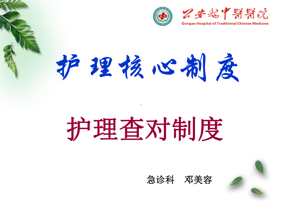 护理核心制度之查对制度课件.ppt（75页）_第1页