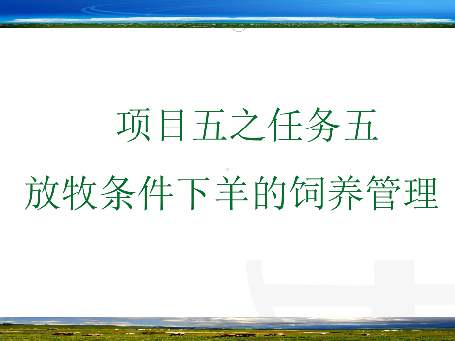 放牧条件下羊的饲养管理课件.pptx_第1页