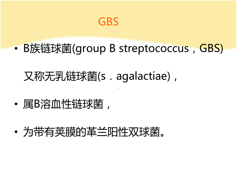 新生儿GBS感染课件.ppt_第2页