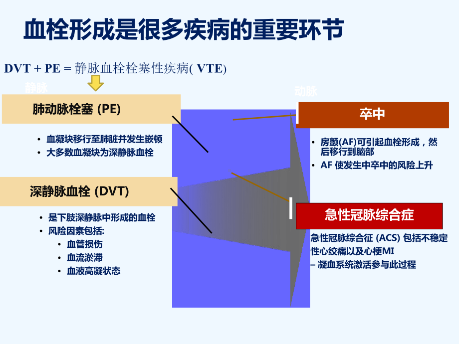 抗凝药物合理应用课件.ppt（44页）_第2页