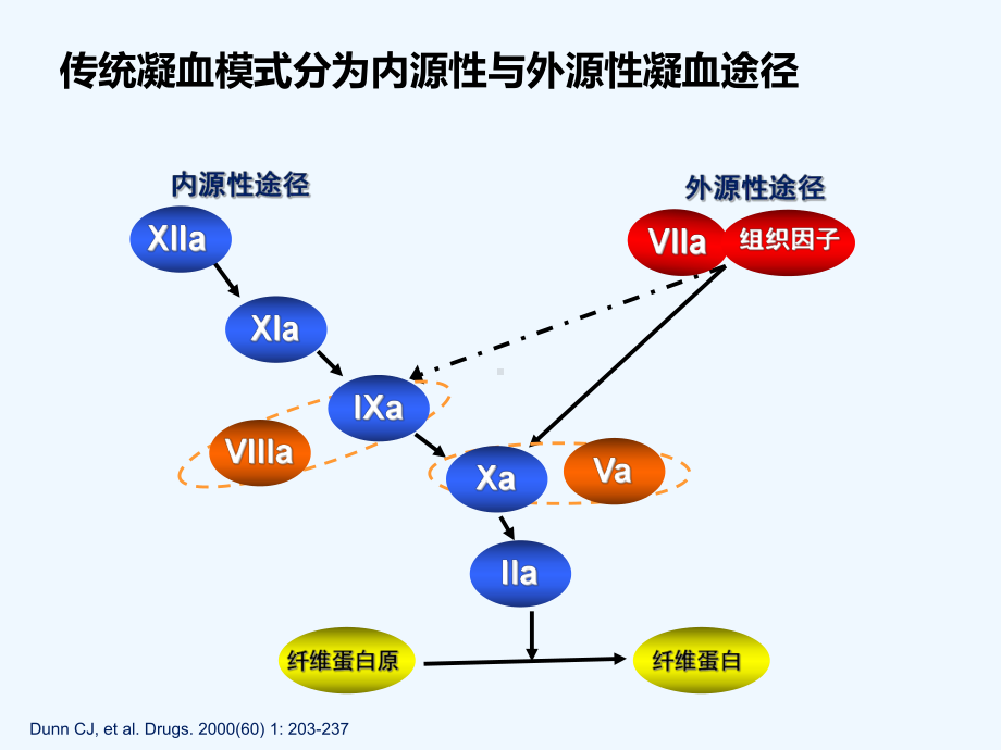 抗凝药物合理应用课件.ppt（44页）_第3页