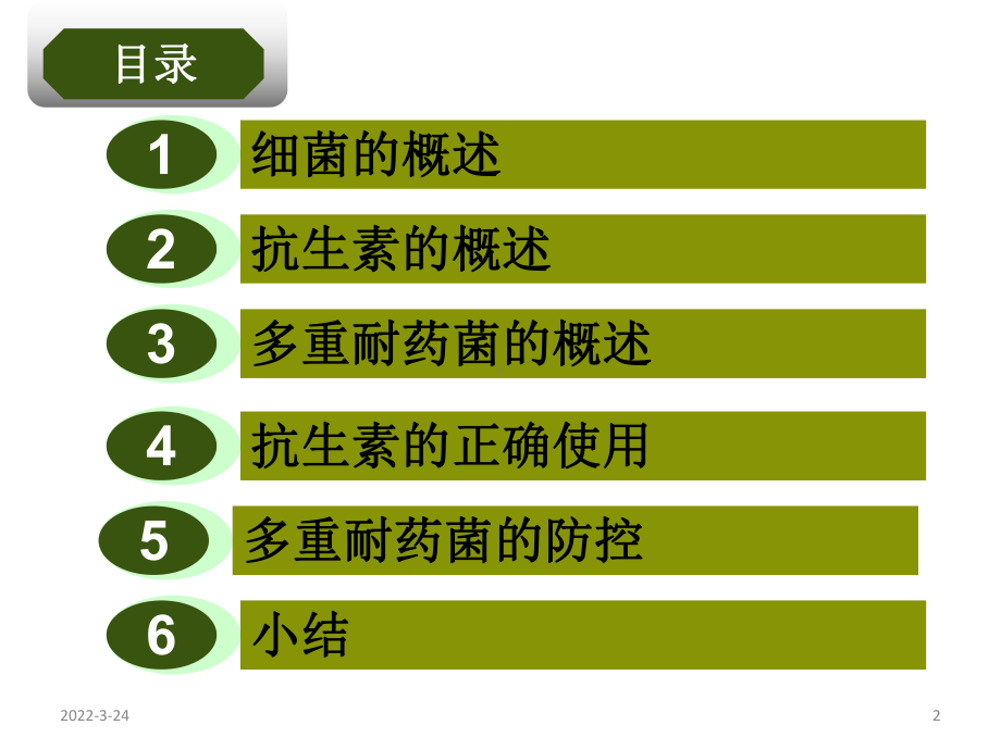 抗菌药物使用与多重耐药菌防控精讲课件.ppt（79页）_第2页