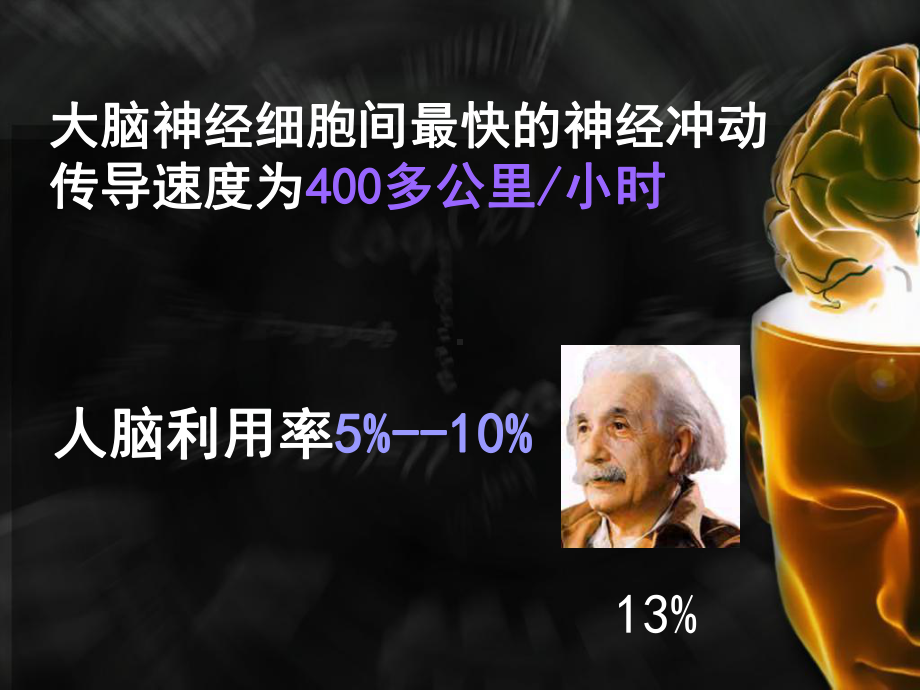 掌握科学的用脑方法课件.ppt（80页）_第3页