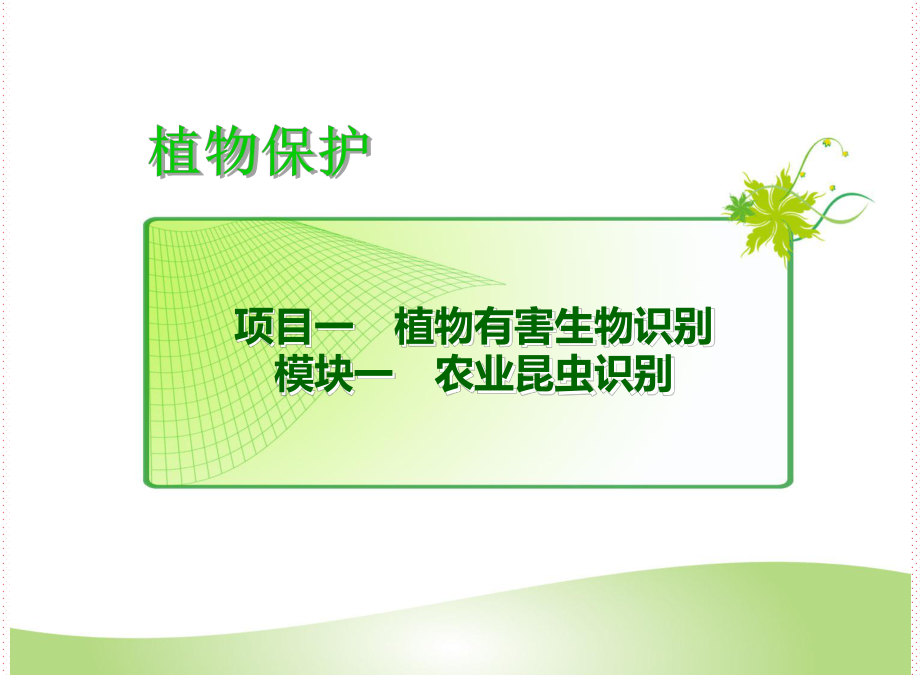 昆虫变态类型及不同发育阶段的虫态观察课件.pptx_第2页