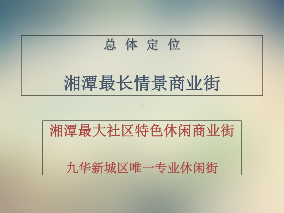 某商业街运营实施方案课件.ppt_第2页