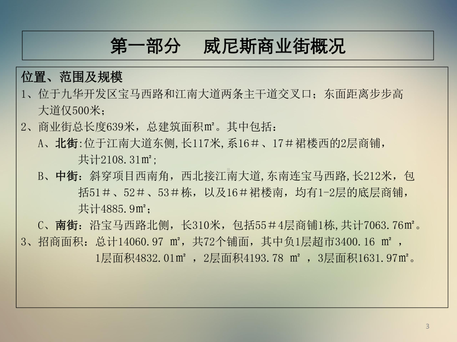 某商业街运营实施方案课件.ppt_第3页