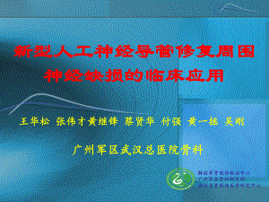 新型人工神经导管讲解课件.ppt