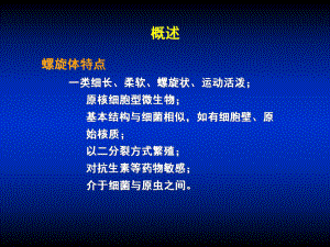 第22章-螺旋体课件.ppt