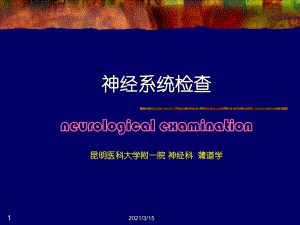 神经系统体格检查-(已修改)课件.ppt