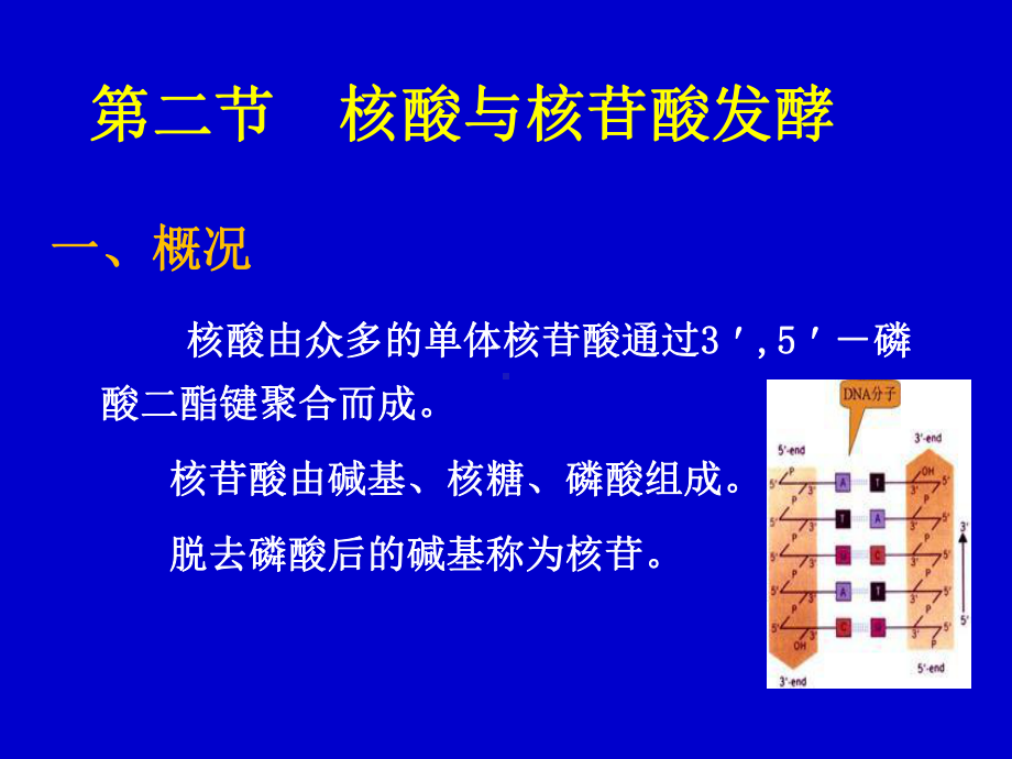 核苷酸类物质(精)课件.ppt_第1页