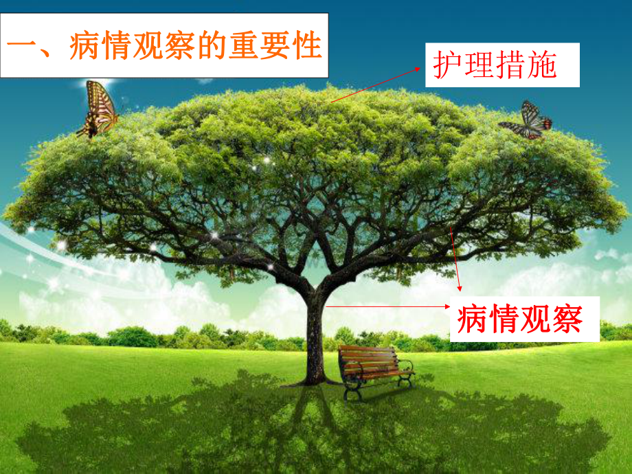 病情观察护理课件.ppt_第2页