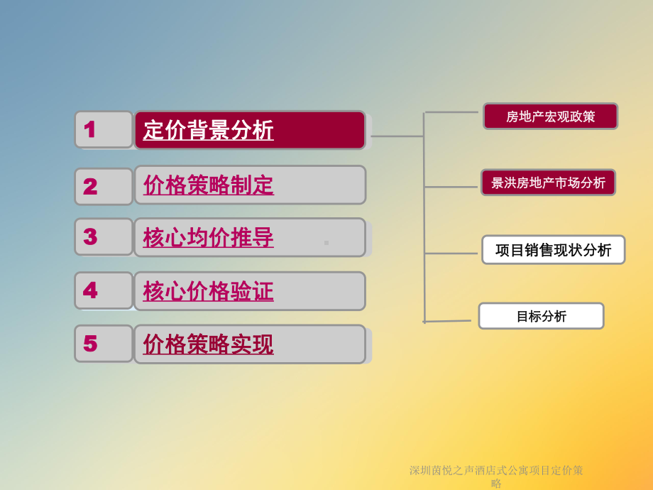 深圳茵悦之声酒店式公寓项目定价策略课件.ppt_第2页