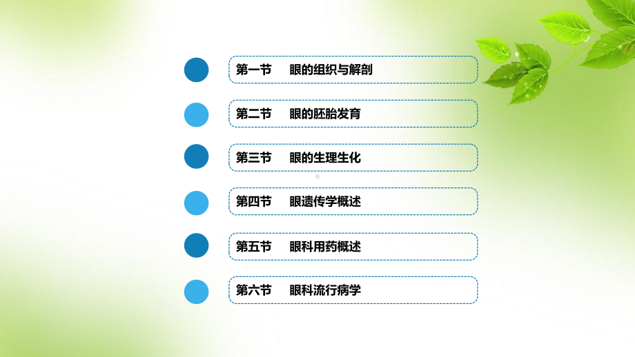 第2章-眼科学基础(第九版眼科学)-PPT课件.ppt_第3页