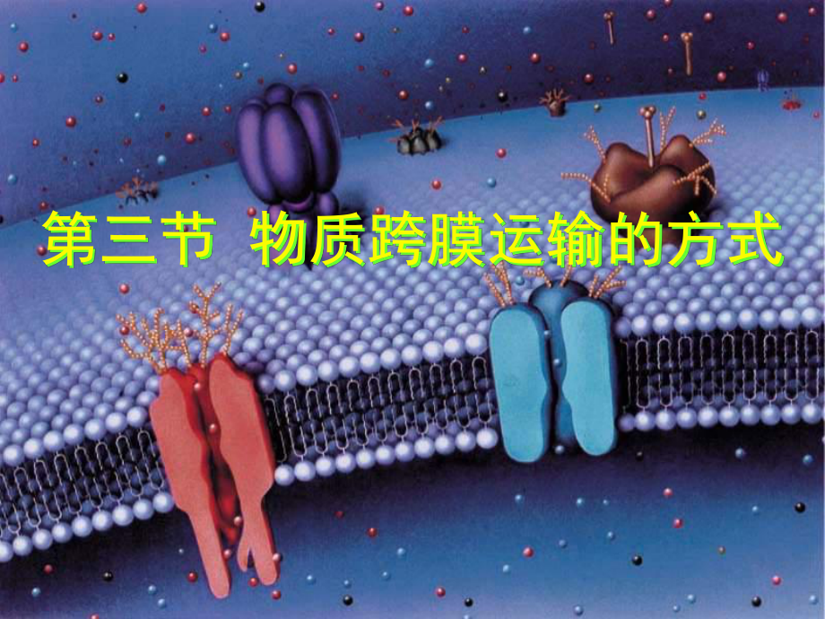 磷脂双分子层课件.ppt_第1页