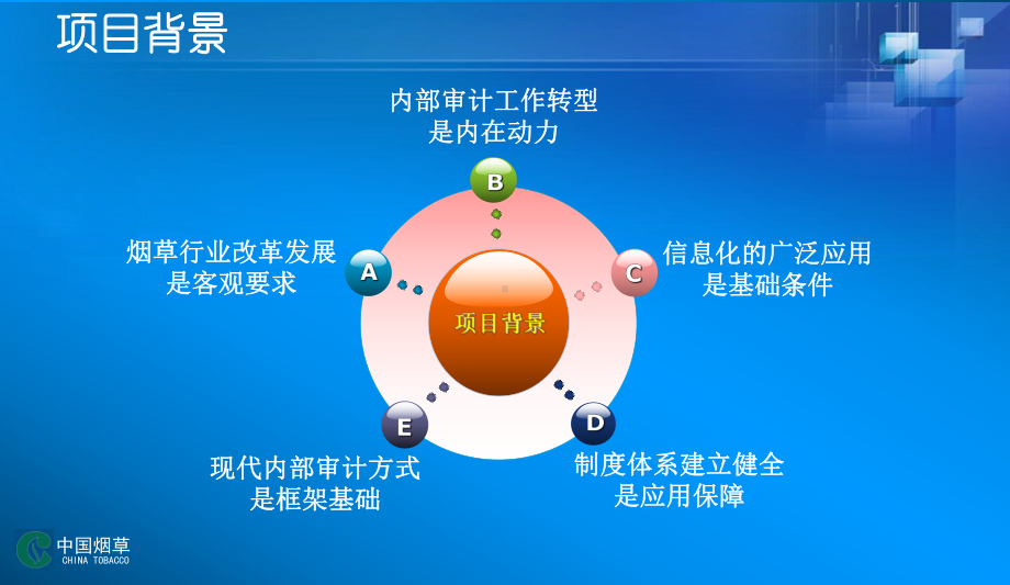 烟草审计信息系统建设汇报课件.ppt_第3页