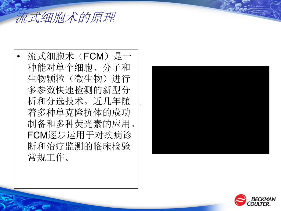 流式细胞仪原理课件.ppt_第1页