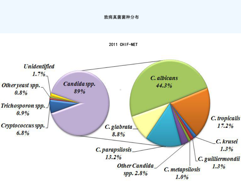 真菌药物的PKPD课件.ppt_第2页